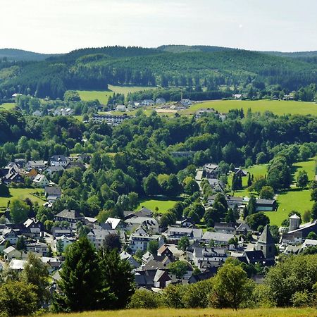 Ferienhaus Diemelquelle - Mit Eingezaeuntem Garten Willingen  Dış mekan fotoğraf