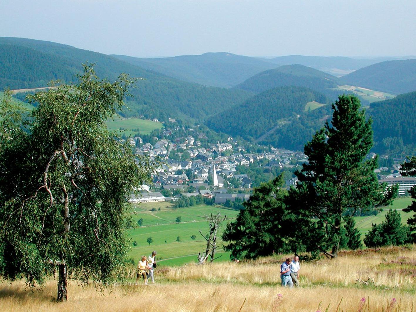 Ferienhaus Diemelquelle - Mit Eingezaeuntem Garten Willingen  Dış mekan fotoğraf